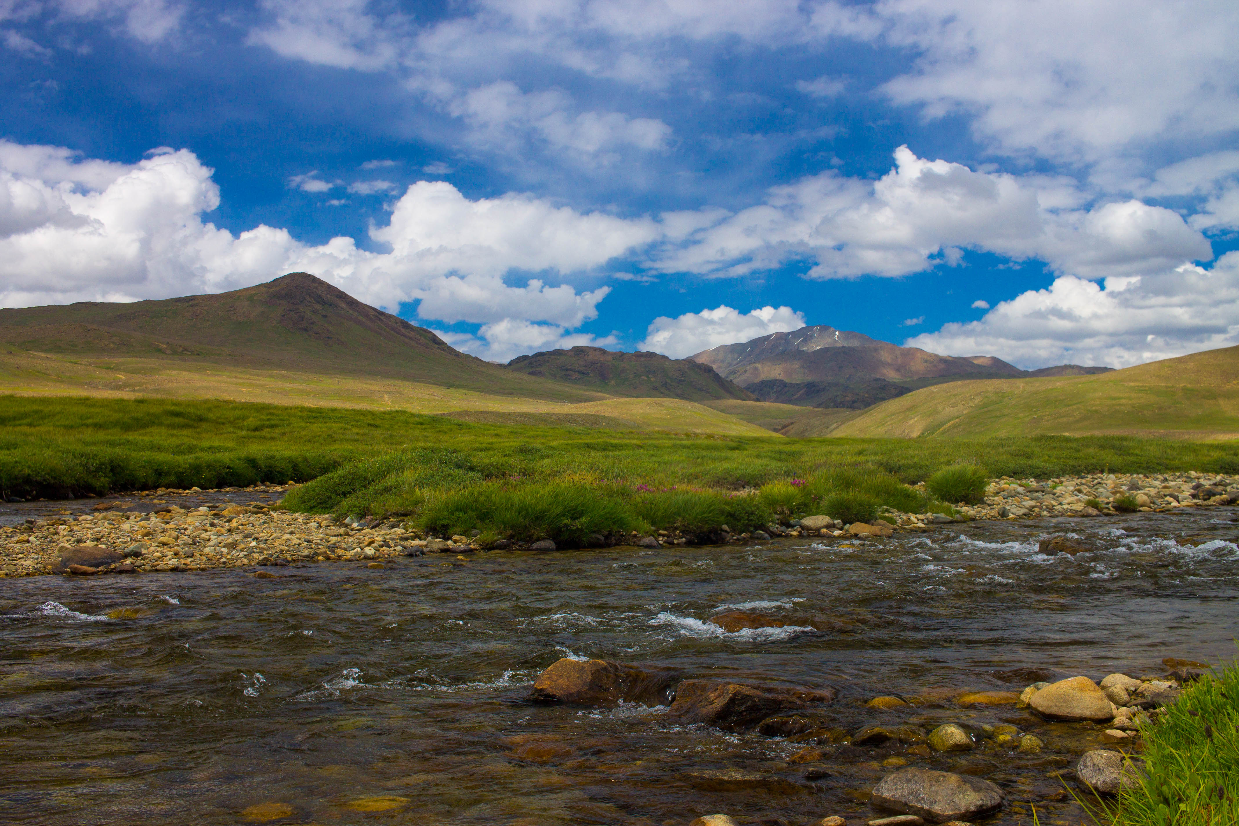 Open plains and stream in Deosai National Park, Pakistan